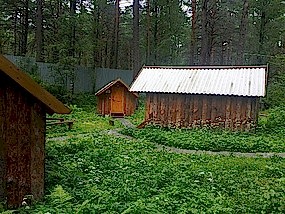 Алтай 2015