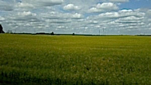 Алтай 2015