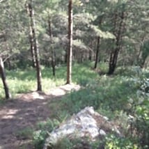 Алтай 2015
