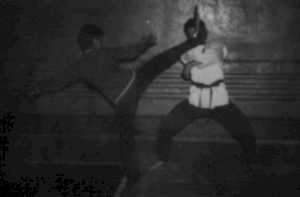 1987. Знакомство!