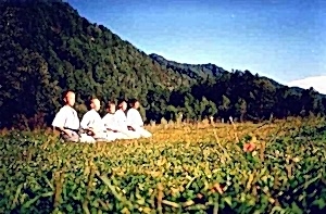 2001. Федерация БУДОКАЙ. Летний лагерь, Горный Алтай