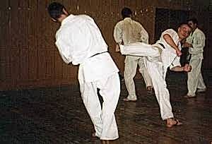 2002. Федерация БУДОКАЙ. Семинар Ю. Хренова и И. Титенкова