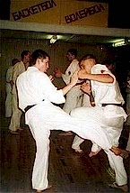 2002. Федерация БУДОКАЙ. Семинар Ю. Хренова и И. Титенкова