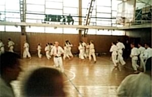 2002. Федерация БУДОКАЙ. Семинар Ю. Хренова и И. Титенкова