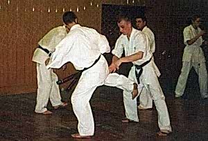 2002. Федерация БУДОКАЙ. Семинар Ю. Хренова и И. Титенкова