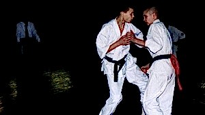 2003. Федерация БУДОКАЙ