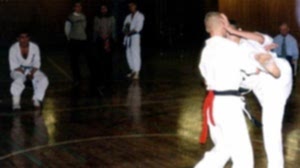 2003. Федерация БУДОКАЙ
