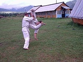 2004, Июль. Федерация БУДОКАЙ. Летний лагерь - Горный Алтай