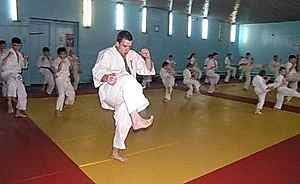 2004. 5-7 Ноября. Федерация БУДОКАЙ. Семинар СШ Русь