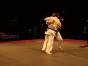 2007, Декабрь. Федерация БУДОКАЙ. Чемпионат мира, Эммен, Голланд
