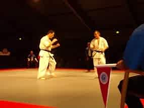 2007, Декабрь. Федерация БУДОКАЙ. Чемпионат мира, Эммен, Голланд