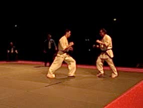 2007, Декабрь. Федерация БУДОКАЙ. Чемпионат мира, Эммен, Голланд