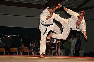 2007, Декабрь. Федерация БУДОКАЙ. Чемпионат мира, Эммен, Голланд