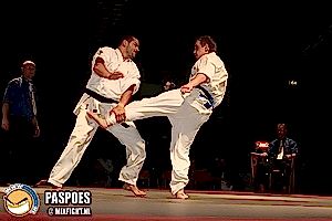 2007, Декабрь. Федерация БУДОКАЙ. Чемпионат мира, Эммен, Голланд