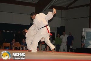 2007, Декабрь. Федерация БУДОКАЙ. Чемпионат мира, Эммен, Голланд