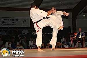 2007, Декабрь. Федерация БУДОКАЙ. Чемпионат мира, Эммен, Голланд