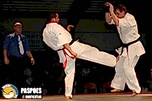2007, Декабрь. Федерация БУДОКАЙ. Чемпионат мира, Эммен, Голланд