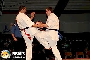 2007, Декабрь. Федерация БУДОКАЙ. Чемпионат мира, Эммен, Голланд