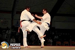 2007, Декабрь. Федерация БУДОКАЙ. Чемпионат мира, Эммен, Голланд