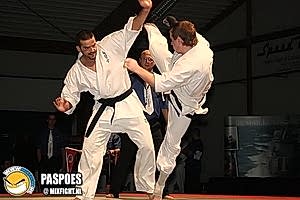 2007, Декабрь. Федерация БУДОКАЙ. Чемпионат мира, Эммен, Голланд