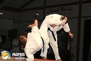 2007, Декабрь. Федерация БУДОКАЙ. Чемпионат мира, Эммен, Голланд