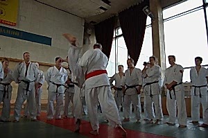 2007, Октябрь. Федерация БУДОКАЙ. Кэйхо Йон Блюминг