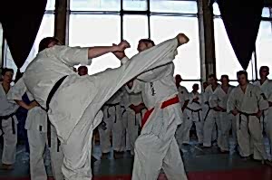 2007, Октябрь. Федерация БУДОКАЙ. Кэйхо Йон Блюминг