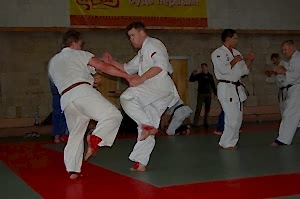 2007, Октябрь. Федерация БУДОКАЙ. Кэйхо Йон Блюминг