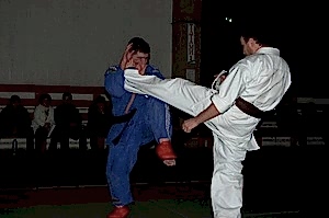 2007, Октябрь. Федерация БУДОКАЙ. Кэйхо Йон Блюминг