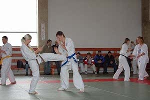 2007, Октябрь. Федерация БУДОКАЙ. Кэйхо Йон Блюминг