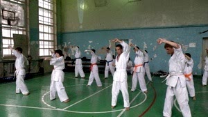 Учебно аттестационный семинар и мастер-класс по Кёкусин Будокай 2