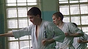 Учебно аттестационный семинар и мастер-класс по Кёкусин Будокай 2