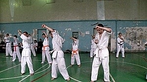 Учебно аттестационный семинар и мастер-класс по Кёкусин Будокай 2