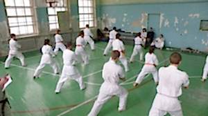 Учебно аттестационный семинар и мастер-класс по Кёкусин Будокай 2