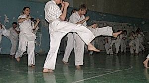 Учебно аттестационный семинар и мастер-класс по Кёкусин Будокай 2