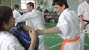 Учебно аттестационный семинар и мастер-класс по Кёкусин Будокай 2