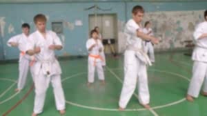 Учебно аттестационный семинар и мастер-класс по Кёкусин Будокай 2