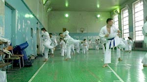 Учебно аттестационный семинар и мастер-класс по Кёкусин Будокай 2