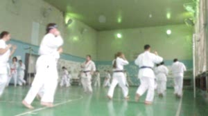 Учебно аттестационный семинар и мастер-класс по Кёкусин Будокай 2