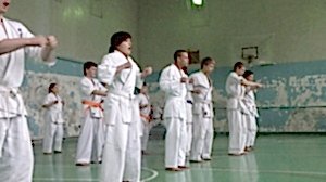 Учебно аттестационный семинар и мастер-класс по Кёкусин Будокай 2