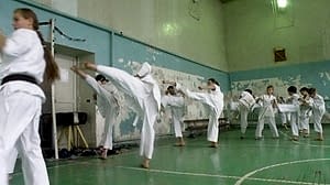 Учебно аттестационный семинар и мастер-класс по Кёкусин Будокай 2