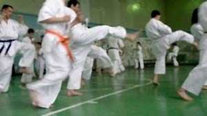 Учебно аттестационный семинар и мастер-класс по Кёкусин Будокай 2