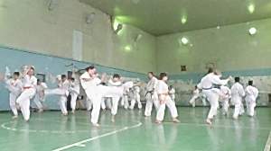 Учебно аттестационный семинар и мастер-класс по Кёкусин Будокай 2