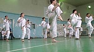 Учебно аттестационный семинар и мастер-класс по Кёкусин Будокай 2