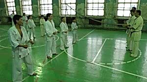 Учебно аттестационный семинар и мастер-класс по Кёкусин Будокай