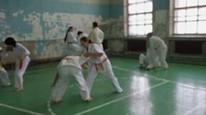 Учебно аттестационный семинар и мастер-класс по Кёкусин Будокай