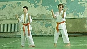 Учебно аттестационный семинар и мастер-класс по Кёкусин Будокай