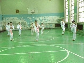Учебно аттестационный семинар и мастер-класс по Кёкусин Будокай