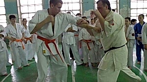 Учебно аттестационный семинар и мастер-класс по Кёкусин Будокай