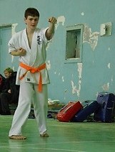 Учебно аттестационный семинар и мастер-класс по Кёкусин Будокай